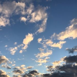 Meet your Posher, Chloe